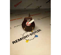 Термостат стержневой с термозащитой TBS 300 16А/70/83